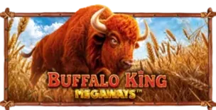 ภาพเกม Buffalo King Megaways ที่ uasia88 รวบรวมไว้